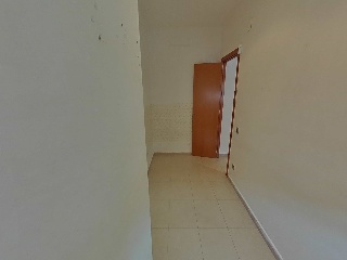 Collsacabra 13
