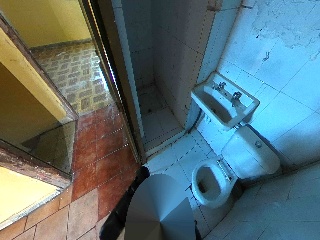 Mayor 14