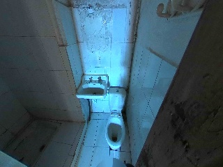 Mayor 15