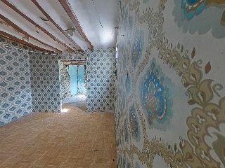 Flor 6