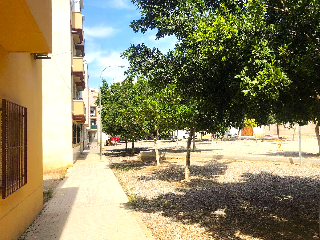 Petanca 4