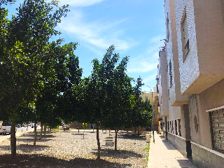 Petanca 5