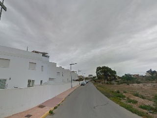 Palomares Bajo 5