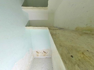 Sevilla 13