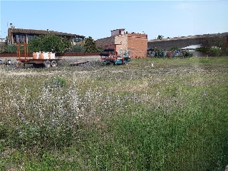 VELL DE SANT MIQUEL DE FLUVIA 2