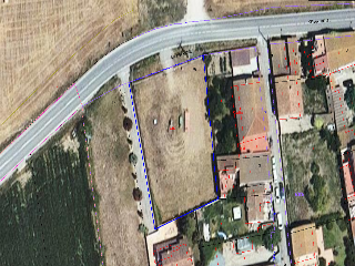VELL DE SANT MIQUEL DE FLUVIA 13