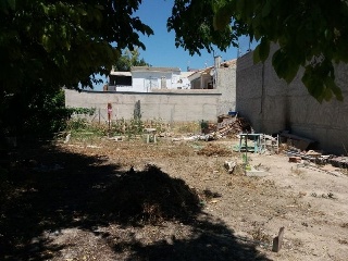 PURISIMA 4