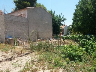PURISIMA 5