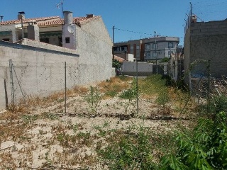 PURISIMA 6