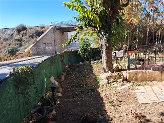 PURISIMA 12