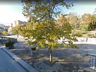 NOU 20