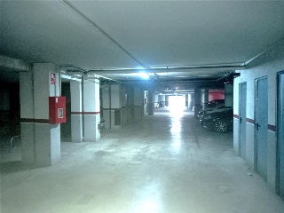 OLIVO (PUENTE TOCINOS) 5
