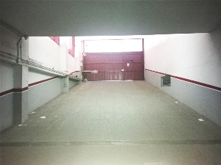 OLIVO (PUENTE TOCINOS) 7