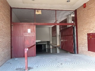 OLIVO (PUENTE TOCINOS) 8