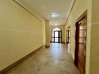 OLIVO (PUENTE TOCINOS) 9