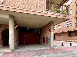 OLIVO (PUENTE TOCINOS) 10