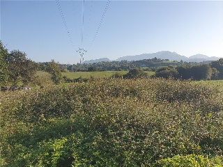 LA CRUZ 2