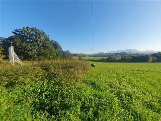 LA CRUZ 4