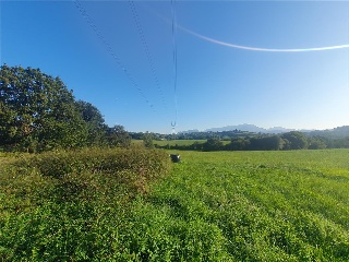 LA CRUZ 7