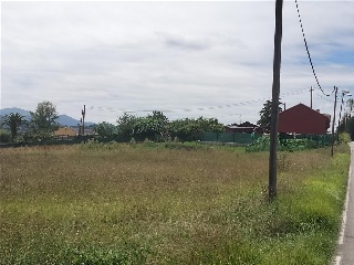 LA CRUZ 8