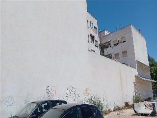 MAYOR 6