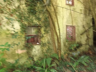 Celoriu 2