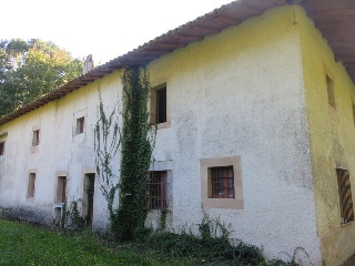 Celoriu 4