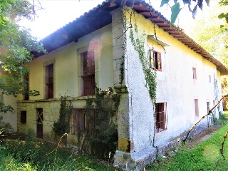 Celoriu 5