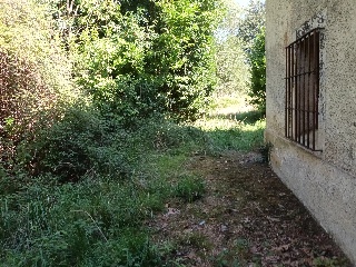 Celoriu 6