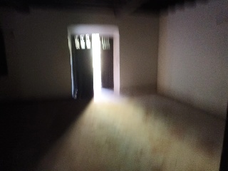 Celoriu 8
