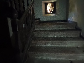 Celoriu 9