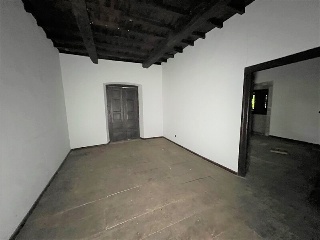 Celoriu 12