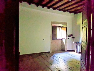 Celoriu 13