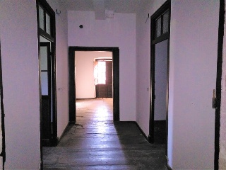 Celoriu 15