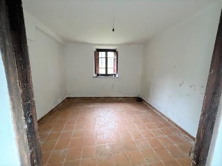 Celoriu 16