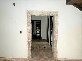 Celoriu 18