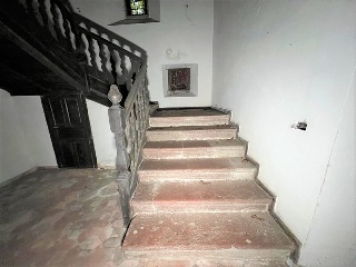 Celoriu 19