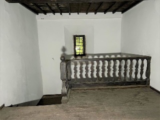 Celoriu 20