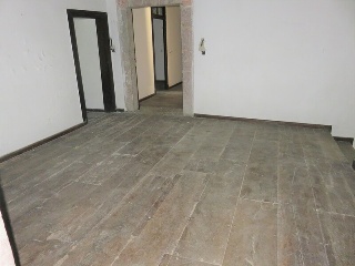 Celoriu 24