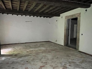 Celoriu 29