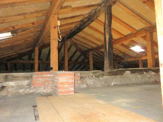 Celoriu 30
