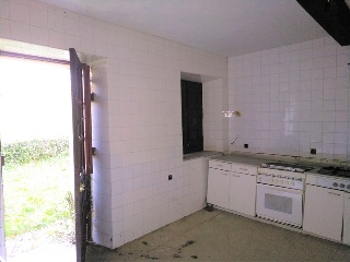 Celoriu 31