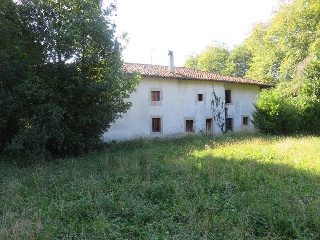 Celoriu 34