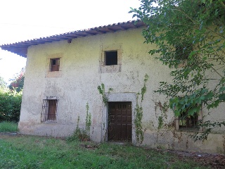 Celoriu 35