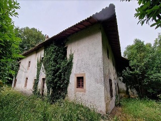 Celoriu 36