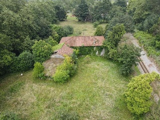 Celoriu 37