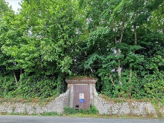 Celoriu 38