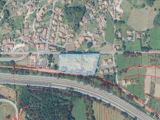 Celoriu 40