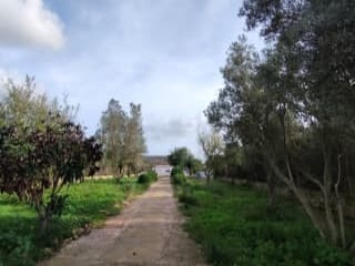 Chalet en C/ Son Fullana, Llucmajor (Illes Balears) 12