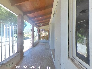  29